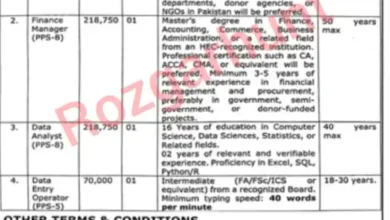 DATA ENTRY JOB IN LAHORE NEW JOBS 2025