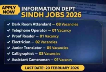 Information Department Sindh Jobs 2026 – Apply Online