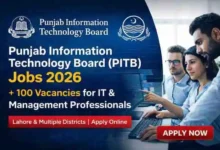 Punjab Information Technology Board (PITB) Jobs 2026